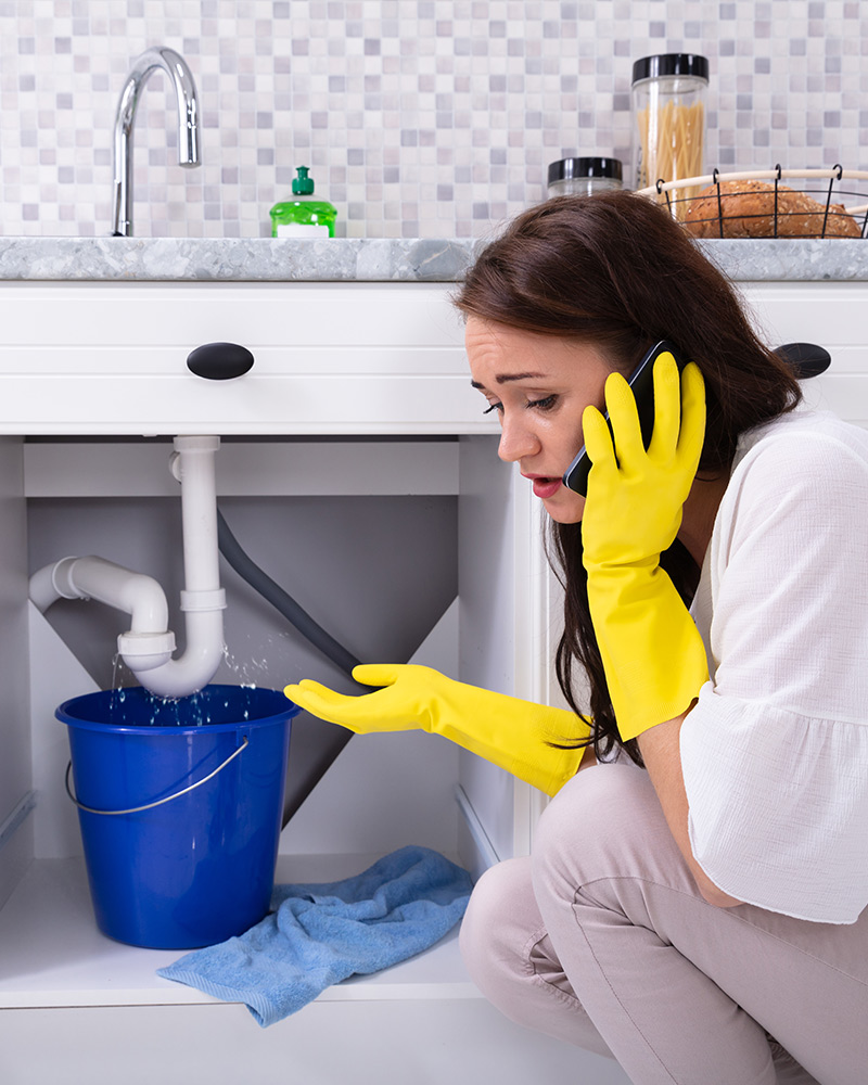 Plumbing Express Sarasota Plumbers Contact Us